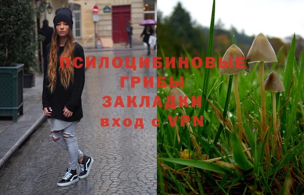 кокс Баксан