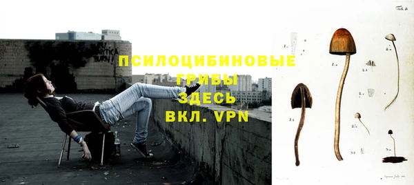 Альфа ПВП Зерноград