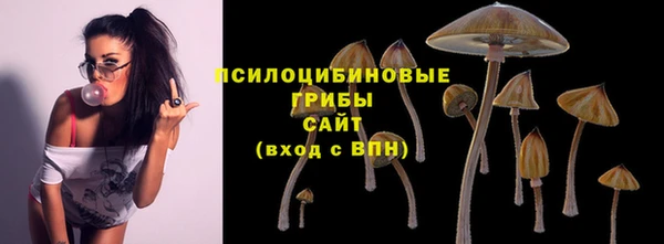 ешки Зеленокумск