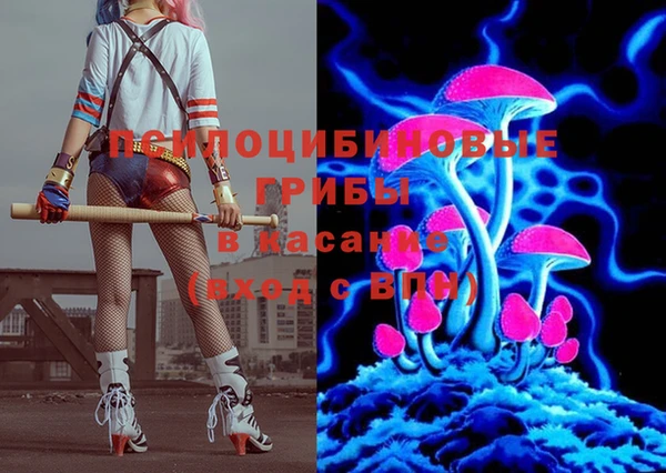 кокс Баксан